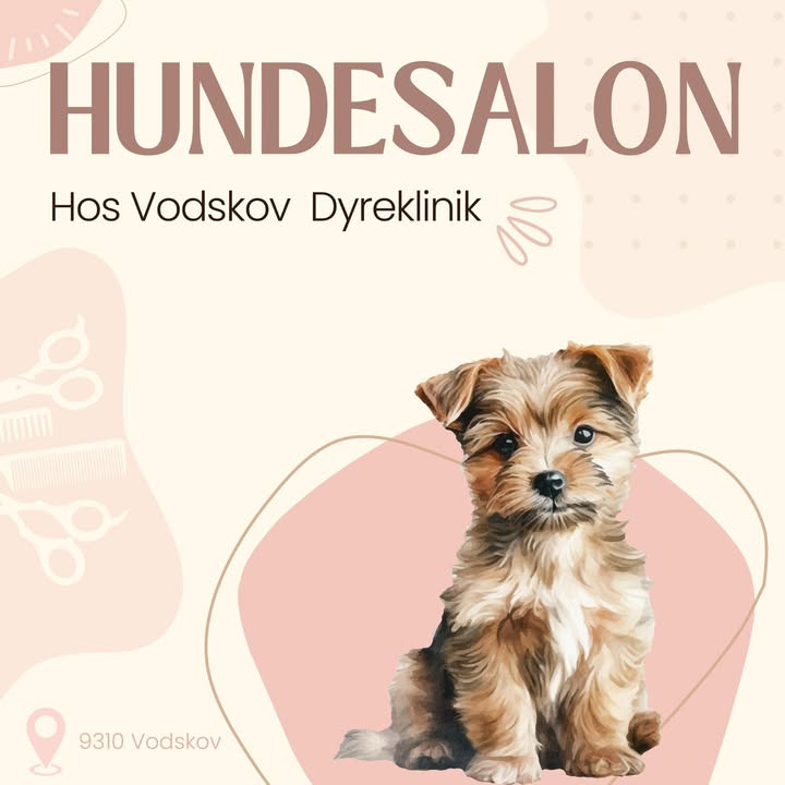 Nyt ansigt i Vodskov Dyrekliniks hundesalon: Mød hundefrisør Louise Andersen