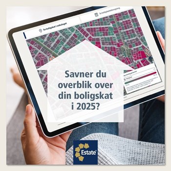 Opslagsbillede