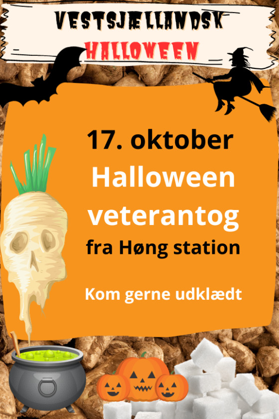 Tag med på en nostalgisk togtur fra Høng til Gørlev