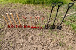 Nyt skovprojekt i Vallensbæk skal fremme biodiversitet og skabe rekreative muligheder