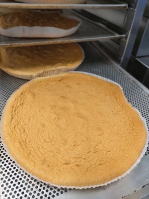 opslagsbillede