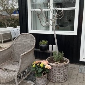 Opslagsbillede