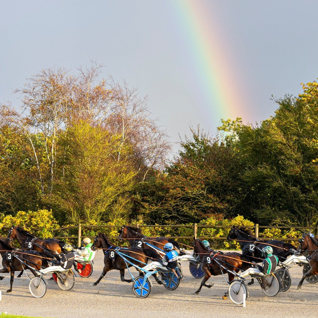 BioCirc Trav Arena Skive