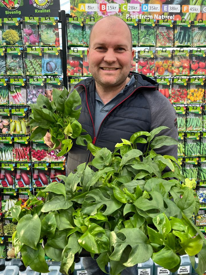 Opdatér dig her: Det nyeste fra Hedensted