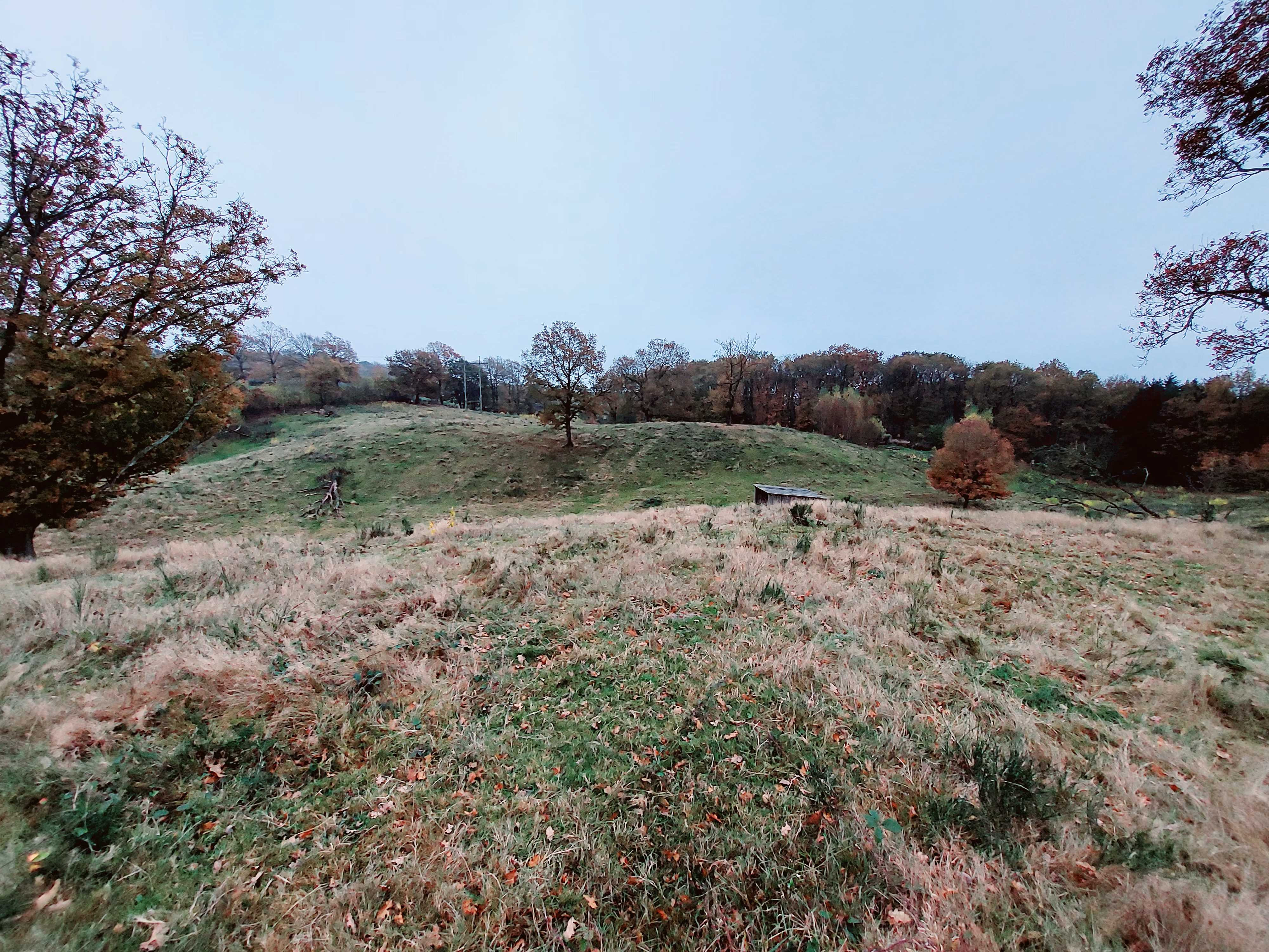 Nordisk skovbad: En fortryllende start på året