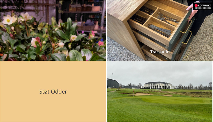 Nyt fra StensballeGaard Golfklub, Midtjysk blomstermarked  og Rotpunkt Køkken