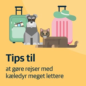 Opslagsbillede