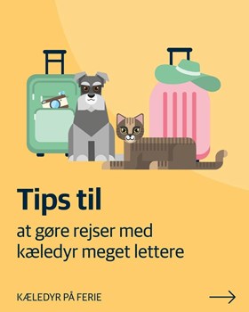 Opslagsbillede