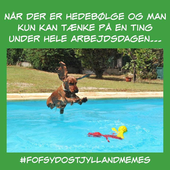 Hold trit med lokalområdet: Nyt fra Horsens