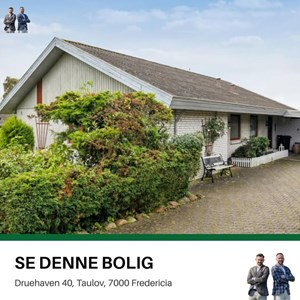 Opslagsbillede