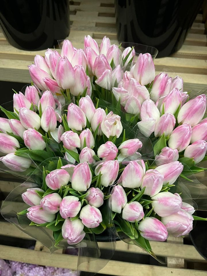 Se dagens updates fra Odder her