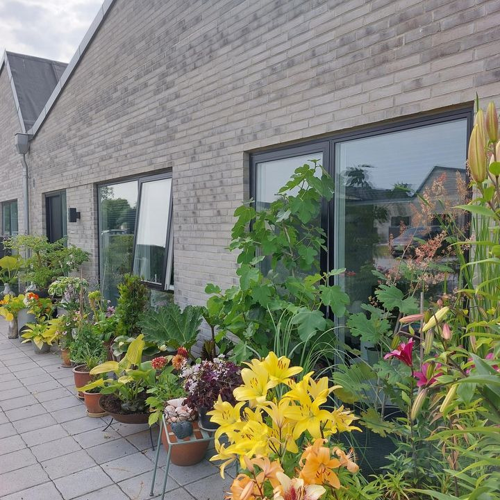 Opdatér dig her: Det nyeste fra Randers