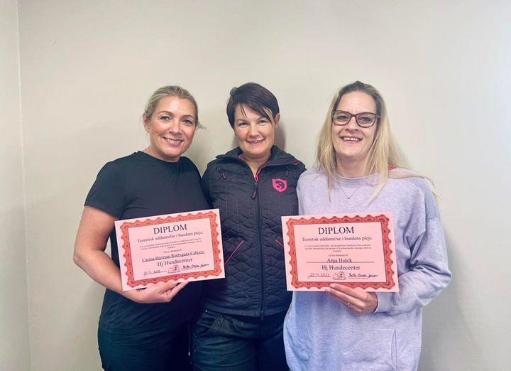 Opdatér dig her: Det nyeste fra Sæby