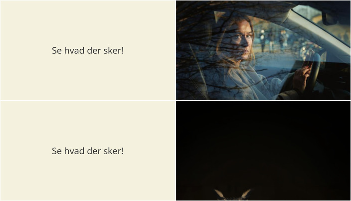 Weekenden i Aars byder på teaterdrama og fascinerende ugleforedrag