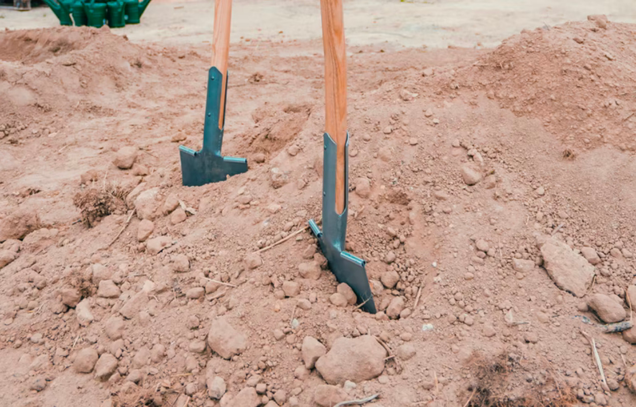 Lyshøjskolen: En stor skole bliver større 