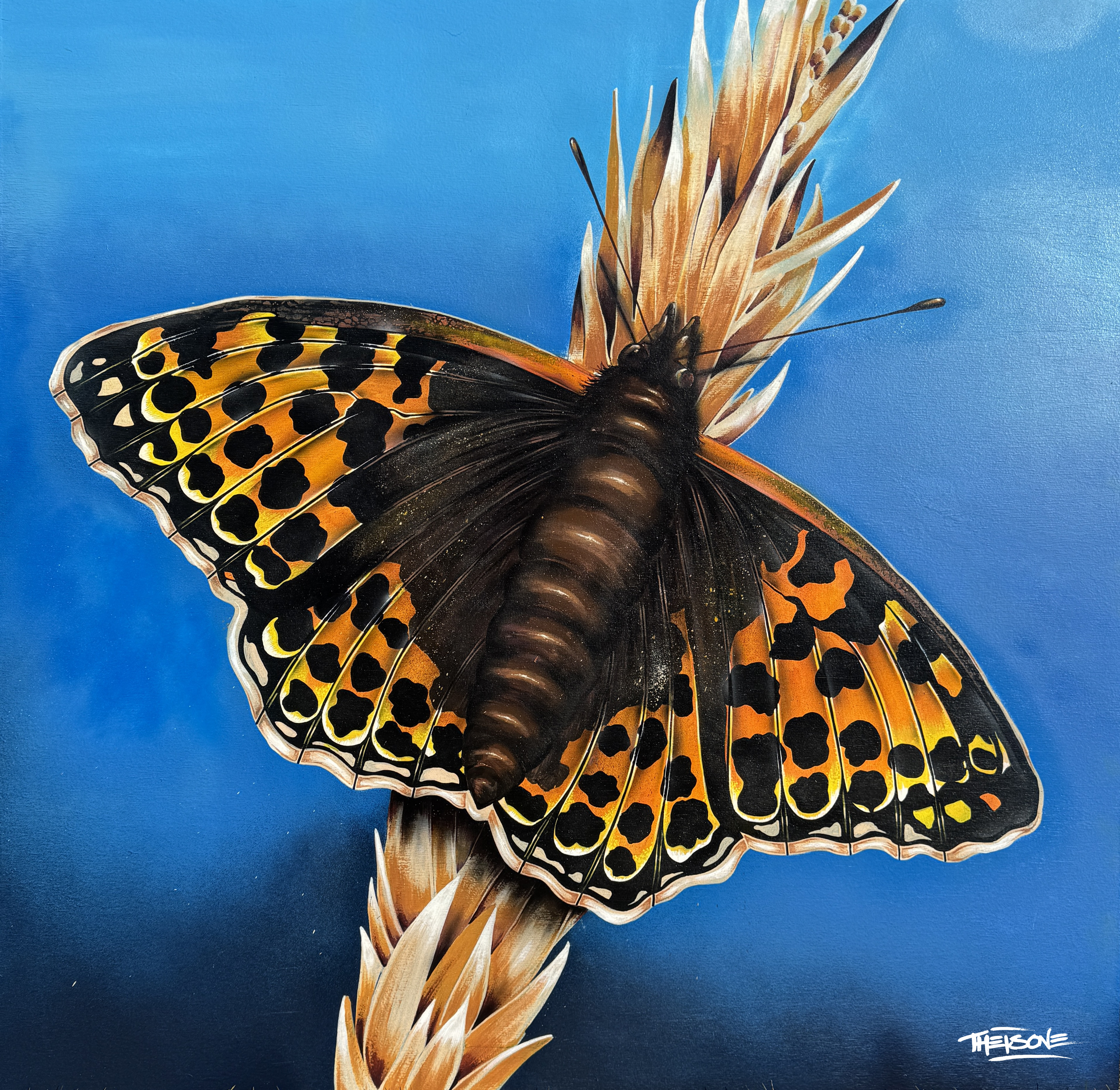 Oplev insekternes eventyrlige verden i Udby Naturskov