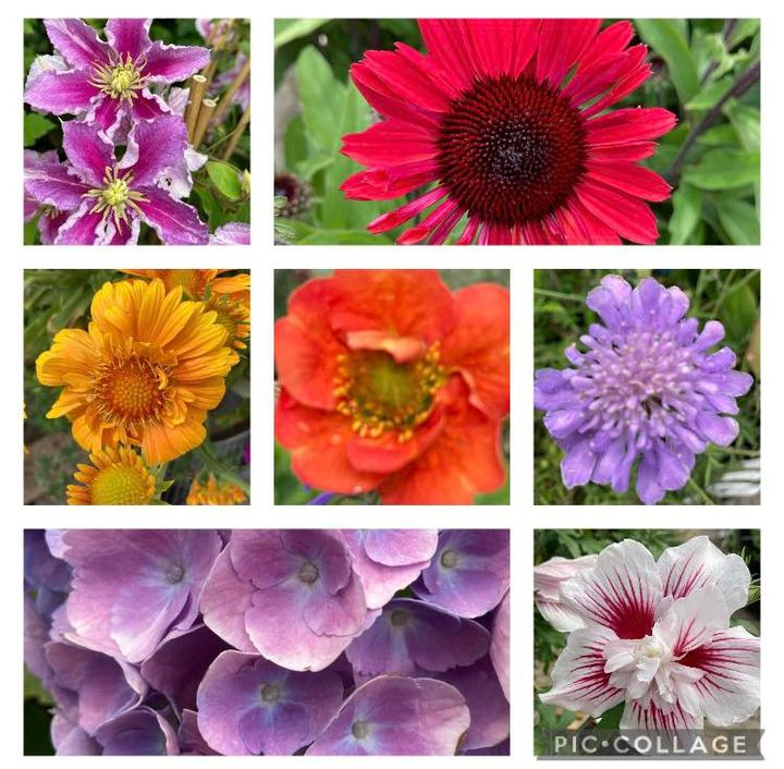 Se dagens updates fra Hobro her