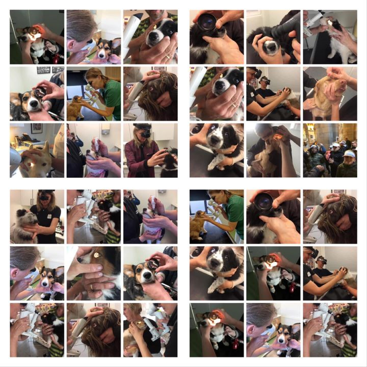 Hold dig ajour med dagens opdateringer fra Herning