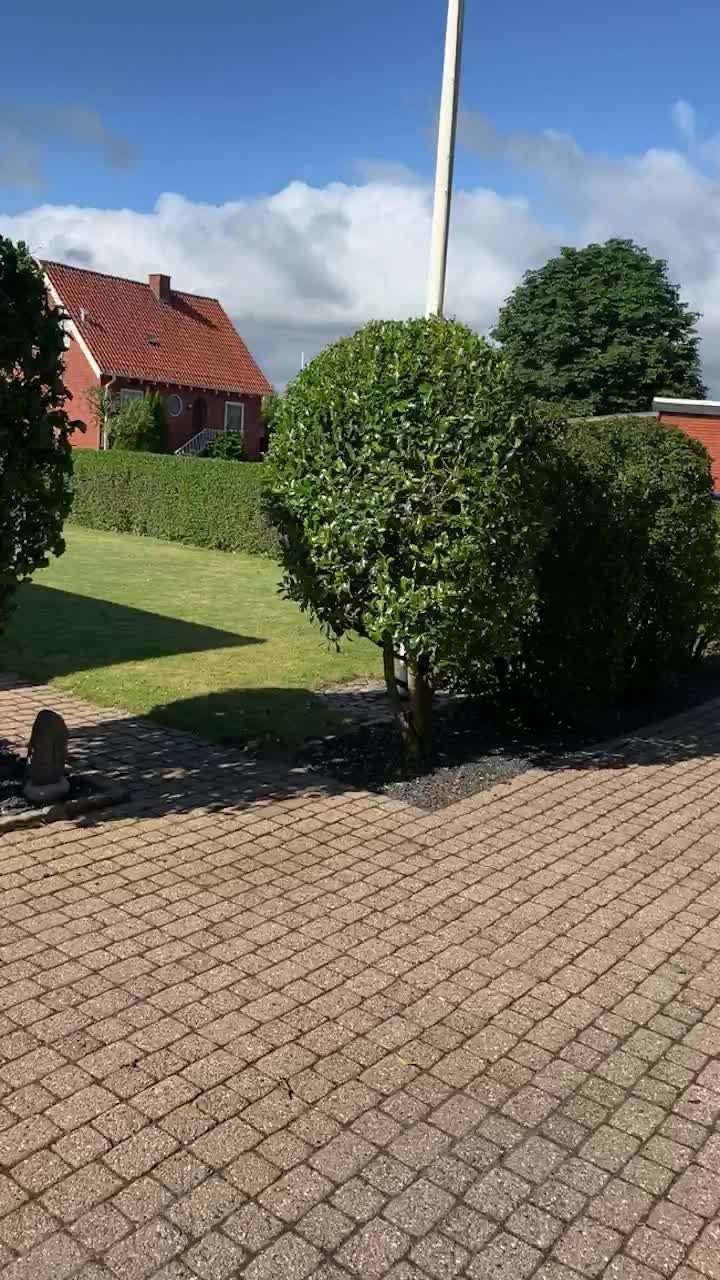 Hold dig ajour med dagens opdateringer fra Aars