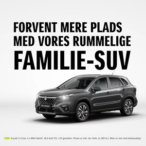 Opslagsbillede