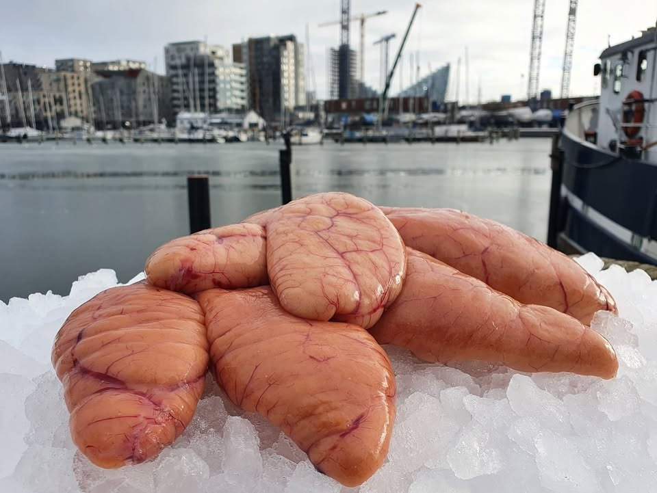 Beringsslagteren ApS lancerer tilbud på frisk norsk torskerogn