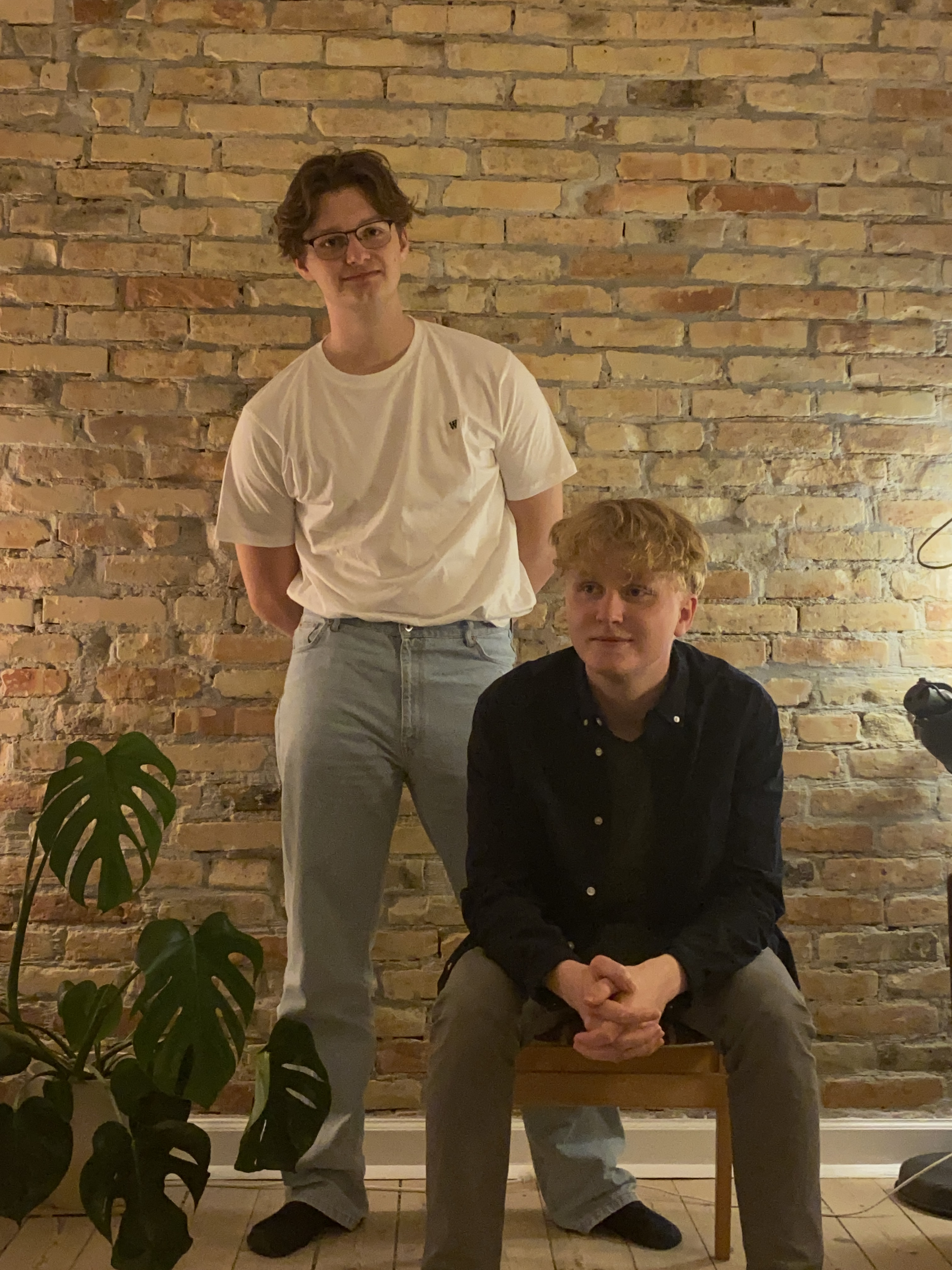 Oplev Felidaes musikalske univers i Frederiksværk