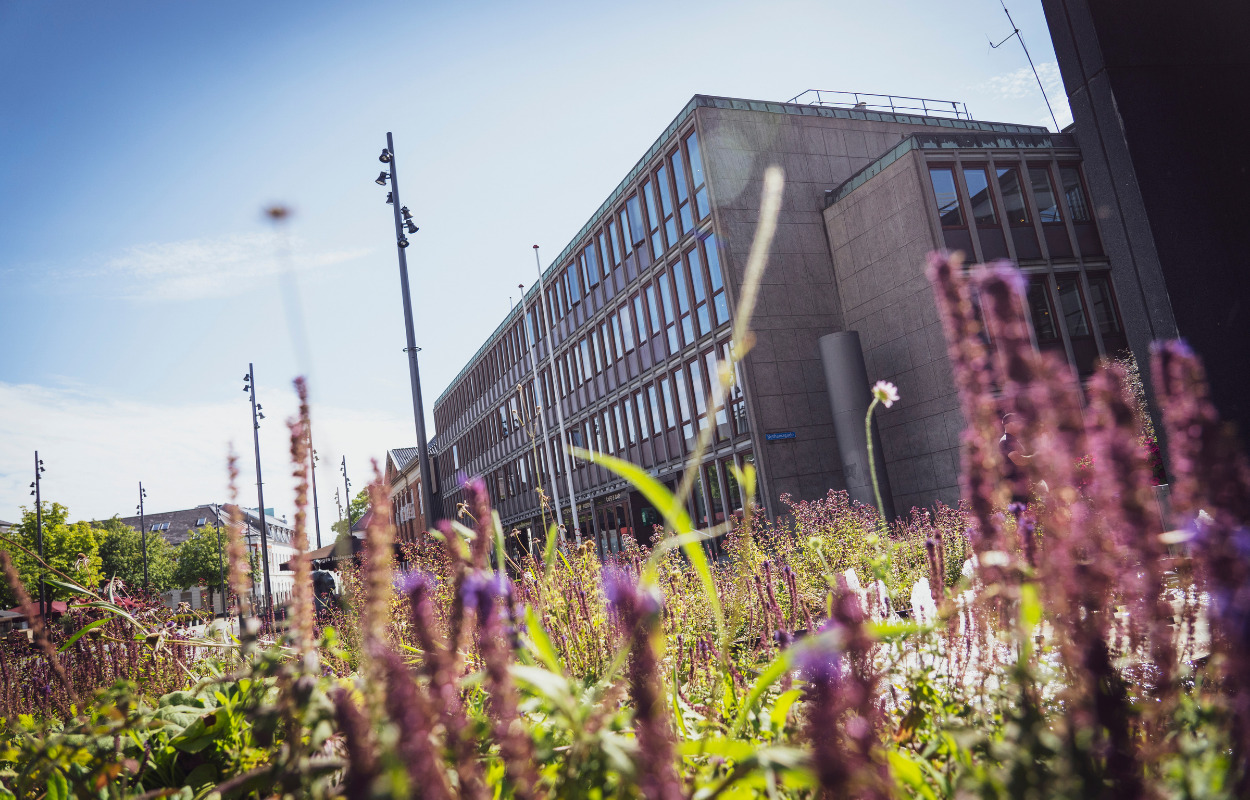 Stemmerne er talt op - Hernings nye byråd
