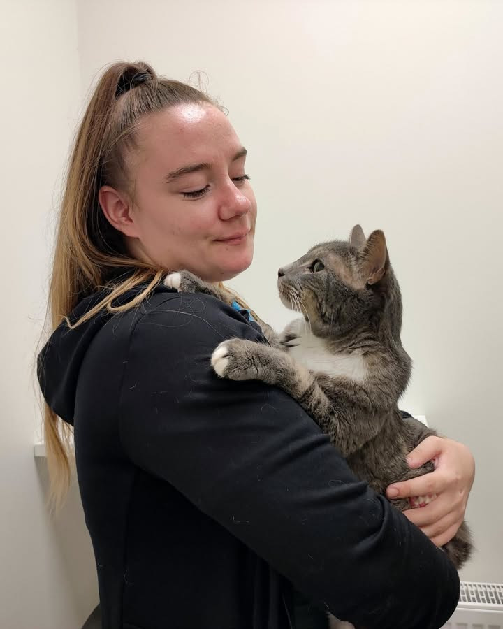 Dyrehospitalet Heden ApS tyvstarter Kattens uge med sjove fakta om katte