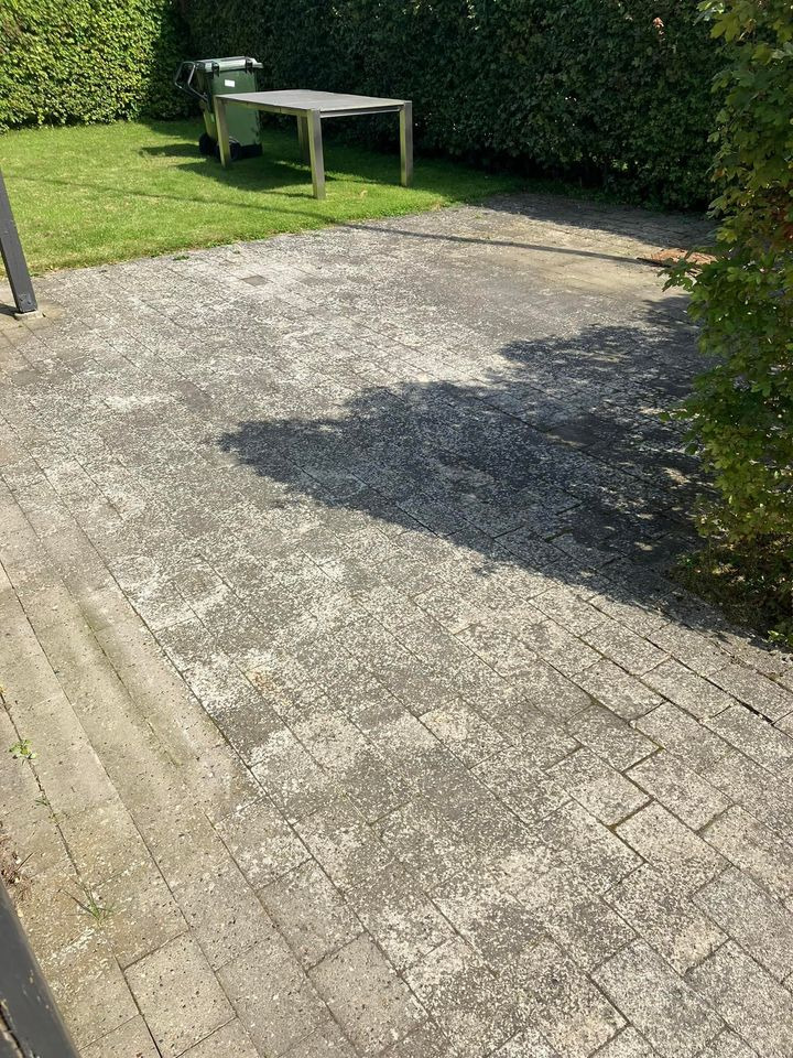 Opslagstavlen: Nyeste opdateringer fra Ikast