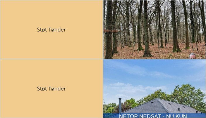 Nyt fra LANDBOGRUPPEN SØNDERJYSK og RealMæglerne Tønder