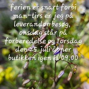 Opslagsbillede