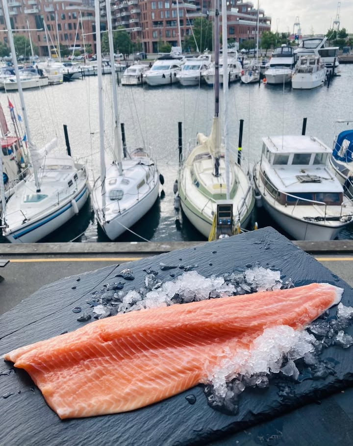 SuperBrugsen Dronninglund tilbyder steelhead ørred til nedsat pris
