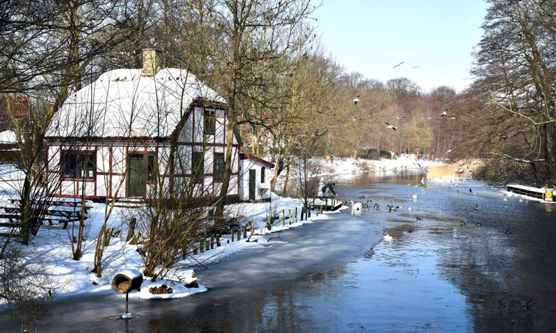 Over 5.000 børn og voksne fra Næstved går 21.000 kilometer for børn i krise