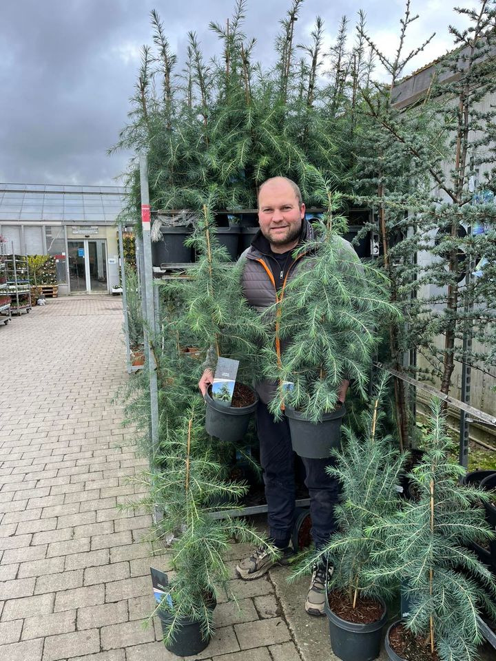 En finger på pulsen i Odder