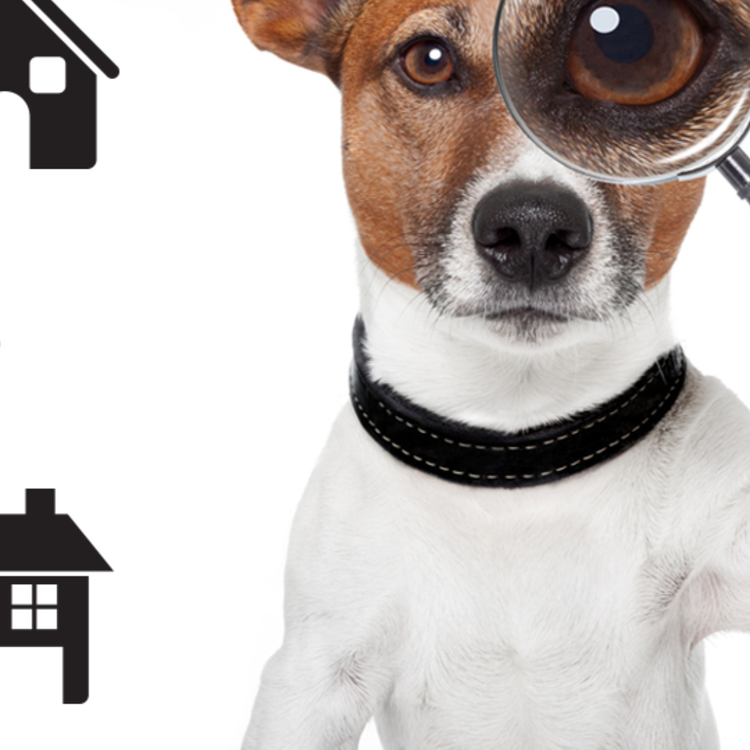 Opdatér dig her: Det nyeste fra Møldrup