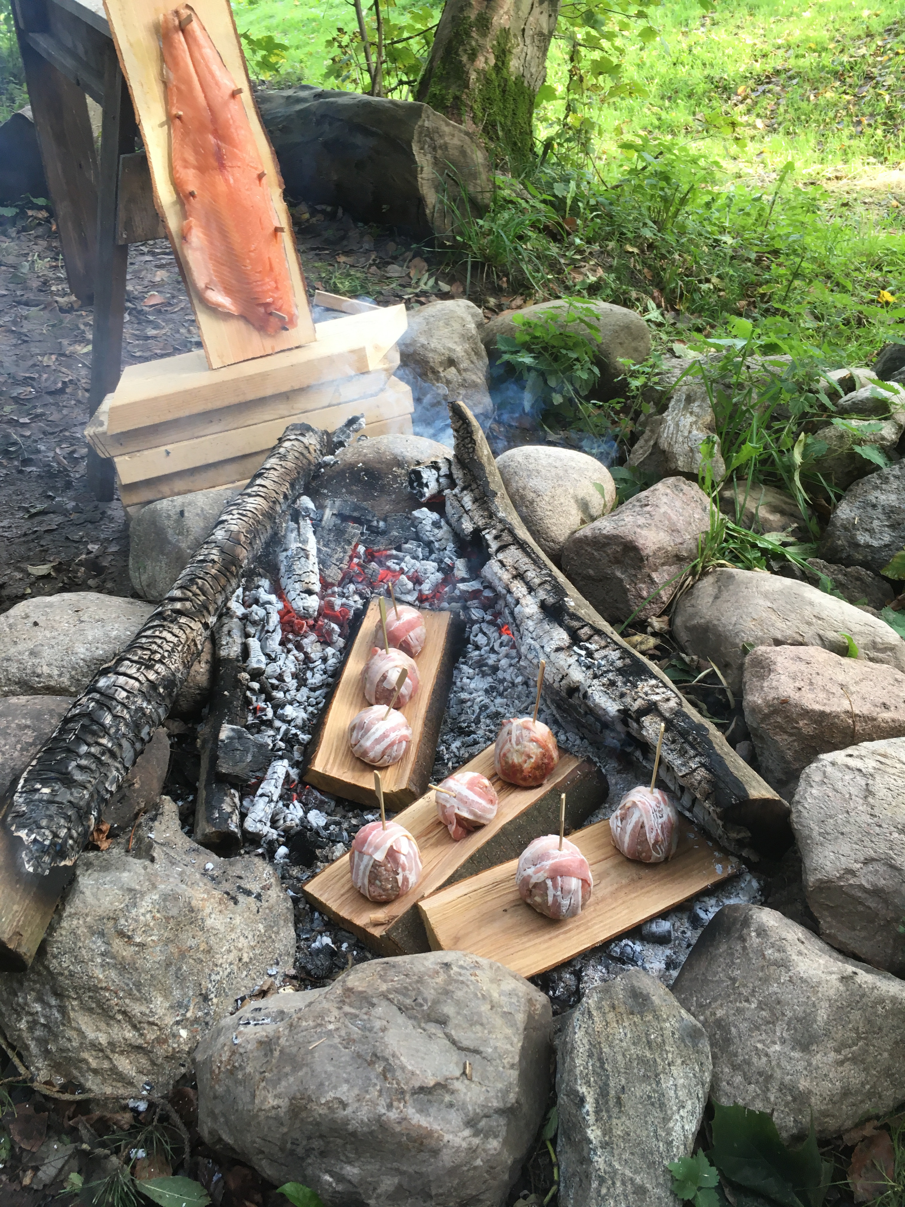  Snak og æd – nye fællesskaber i naturen 