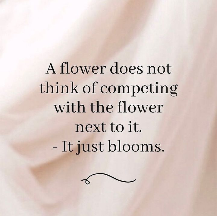 Opdatér dig her: Det nyeste fra Sæby