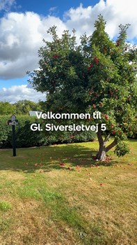 Opslagsbillede