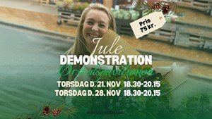 Juleinspiration i Ørstedspavillonen: Oplev årets trends med Blomsterværkstedet