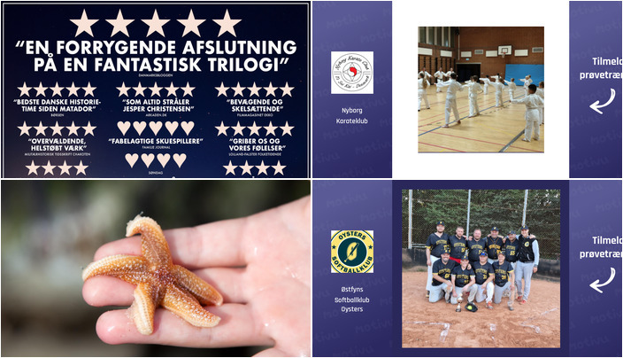 Oplev Nyborg i weekenden: Film, karate, havdyr og sport