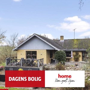 opslagsbillede