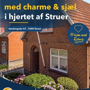 Opslagsbillede