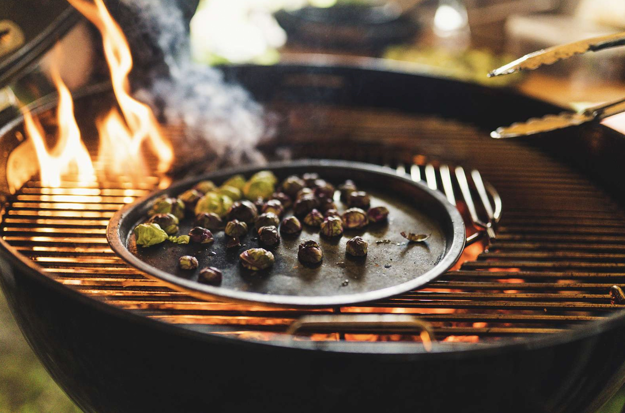 Kom tæt på naturen til Danmarks vildeste kokkekonkurrence