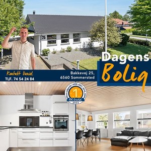 Opslagsbillede