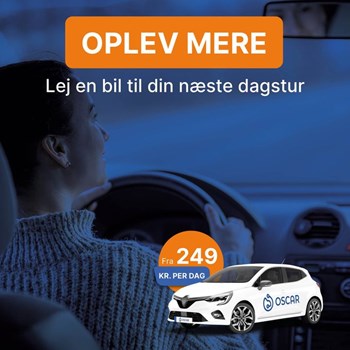 Opslagsbillede