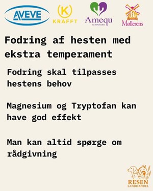 opslagsbillede