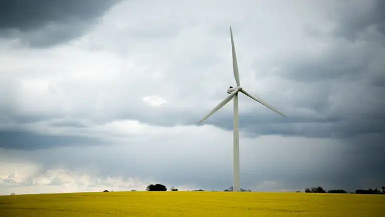 Thisted Kommune bruger grøn omstilling som katalysator for lokal vækst og økonomi i Thy