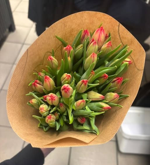 Meny Aabybro tilbyder tulipaner til skarp pris kun torsdag