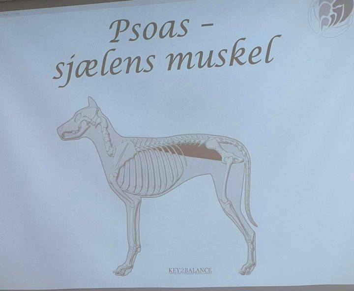 Hold dig ajour med dagens opdateringer fra Sæby