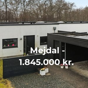 Opslagsbillede
